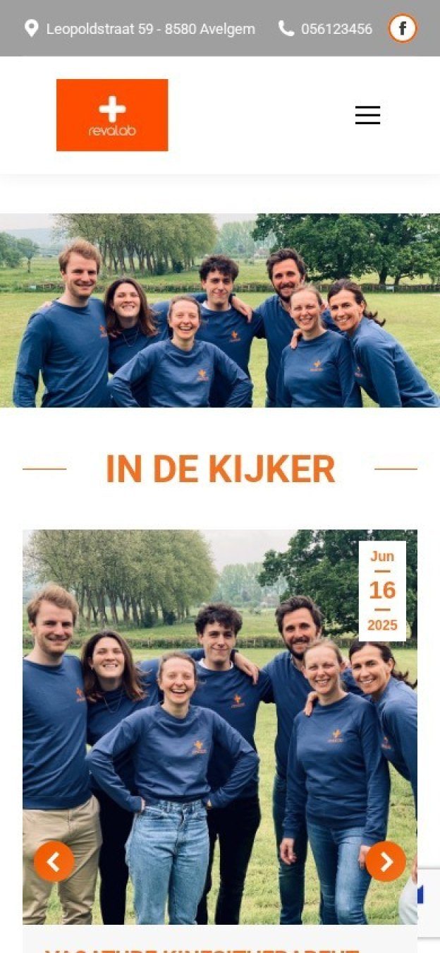 Website van Revalab op een gsm