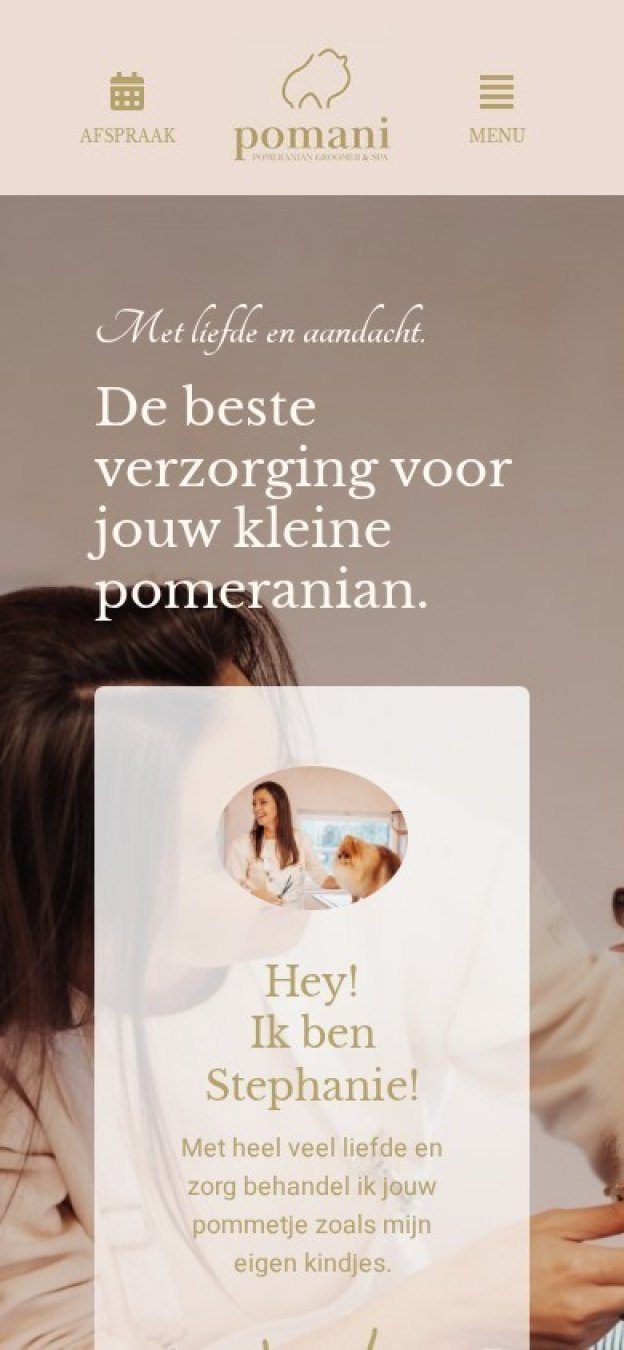 Website van Pomani op een gsm